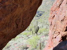 photo thumbnail #3