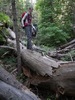 photo thumbnail #2