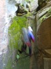 photo thumbnail #14