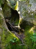 photo thumbnail #11