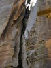 photo thumbnail #15