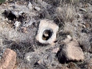 photo thumbnail #7