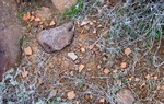 photo thumbnail #12
