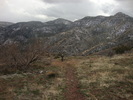photo thumbnail #10
