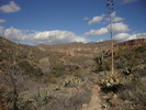 photo thumbnail #2