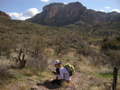photo thumbnail #4