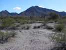 photo thumbnail #2