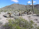 photo thumbnail #4