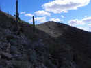 photo thumbnail #8