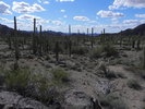photo thumbnail #15