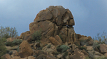 photo thumbnail #12