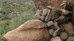 photo thumbnail #13