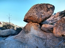 photo thumbnail #8