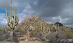 photo thumbnail #3