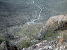 photo thumbnail #11