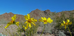 photo thumbnail #3