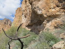 photo thumbnail #11