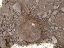 photo thumbnail #15