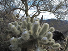 photo thumbnail #8