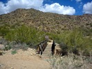 photo thumbnail #3