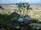 photo thumbnail #10