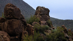 photo thumbnail #4