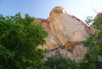 photo thumbnail #12