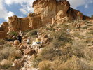 photo thumbnail #12