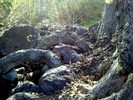photo thumbnail #7