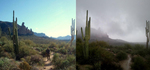 photo thumbnail #14