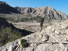 photo thumbnail #10