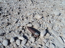 photo thumbnail #11