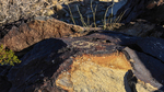 photo thumbnail #6