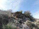 photo thumbnail #4