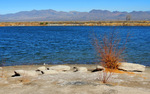 photo thumbnail #10