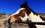 photo thumbnail #15