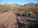 photo thumbnail #2