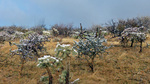 photo thumbnail #9