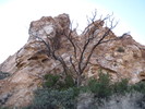 photo thumbnail #3