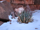 photo thumbnail #12