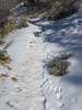 photo thumbnail #14