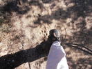 photo thumbnail #9