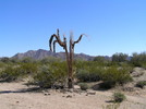 photo thumbnail #1