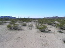 photo thumbnail #3