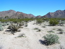photo thumbnail #5