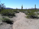 photo thumbnail #6