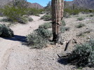 photo thumbnail #7