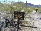 photo thumbnail #8