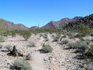 photo thumbnail #9