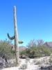 photo thumbnail #10